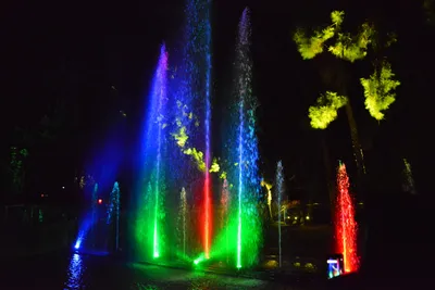 DSC_7046 (Large).JPG